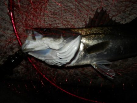 ちょっと聞いて！めちゃ嬉しい‼60・66‼‼　【20260326】